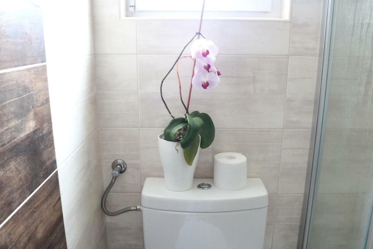 Apartment Ela